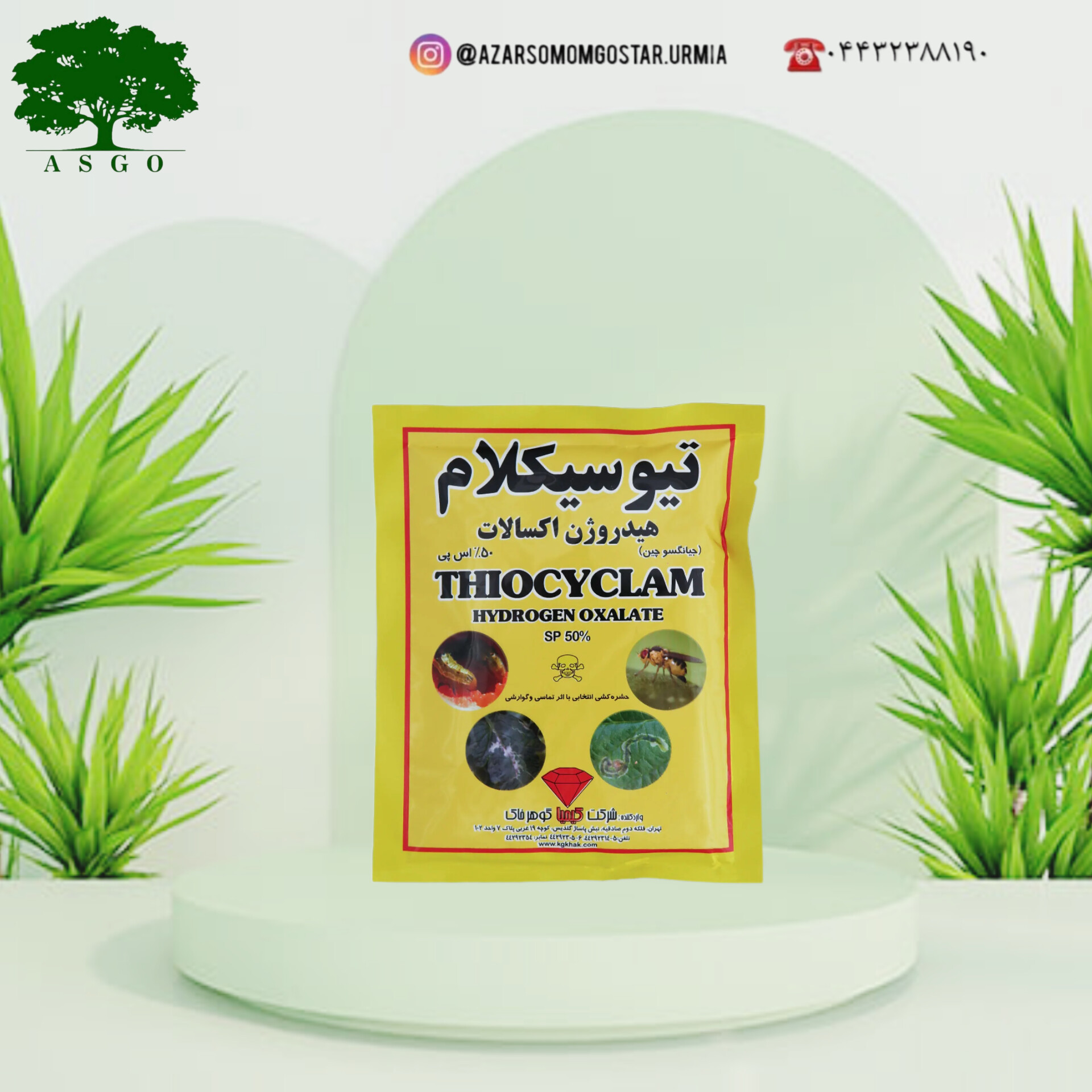 تیوسیکلام هیدروژن اکسالات - آسگو آذر سموم گستر