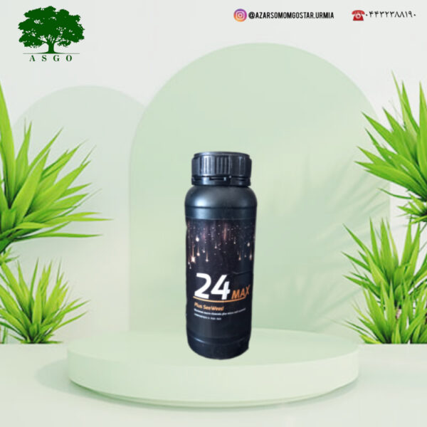 24 مکس(max 24)