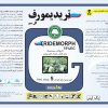 تری ديمورف - تصویر 3