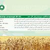 كلودينافوپ پروپارژيل - تصویر 3
