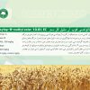 هالوكسي فوپ آر متيل - تصویر 3