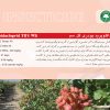 imidacloprid70catalog