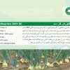 اكسی فلورفن - تصویر 3