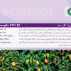 پروپارژيت - تصویر 2