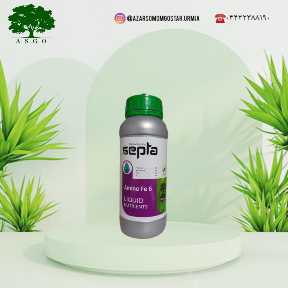 آمینو آهن 6