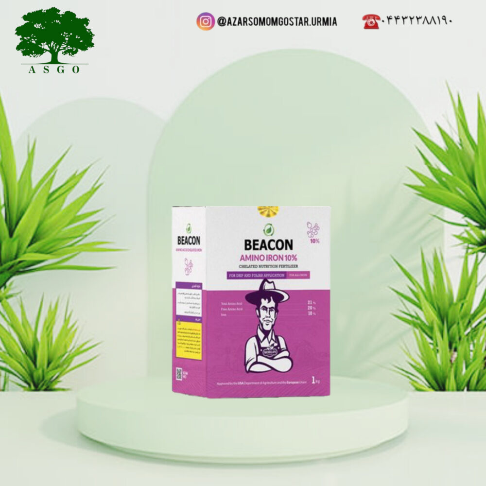آمینو آهن 10% بیکن