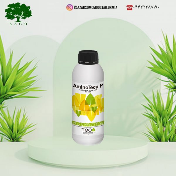 آمینو تکا پی