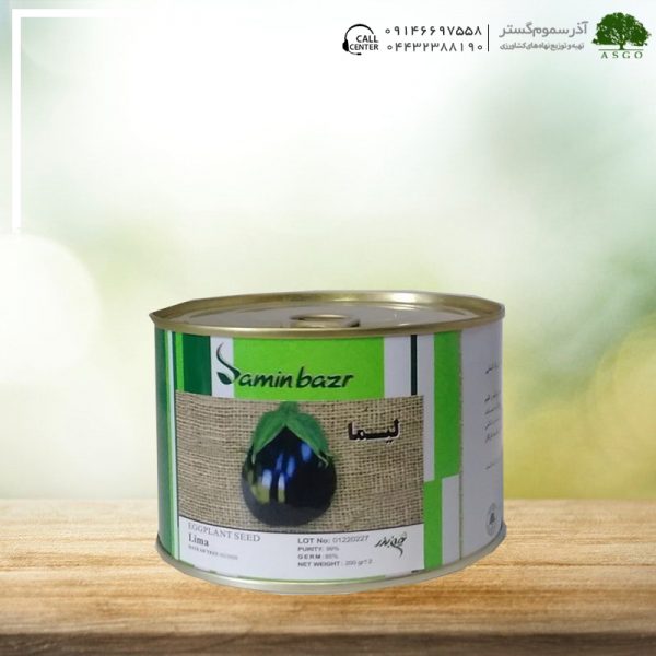 بادمجان دلمه ای لیما