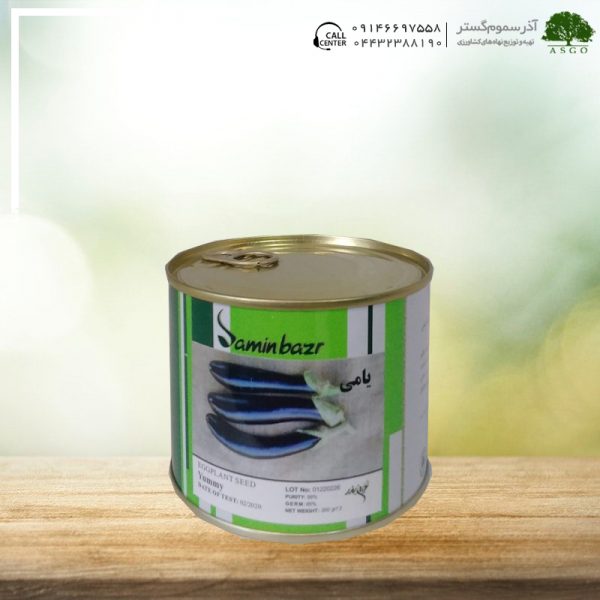 بادمجان قلمی یامی
