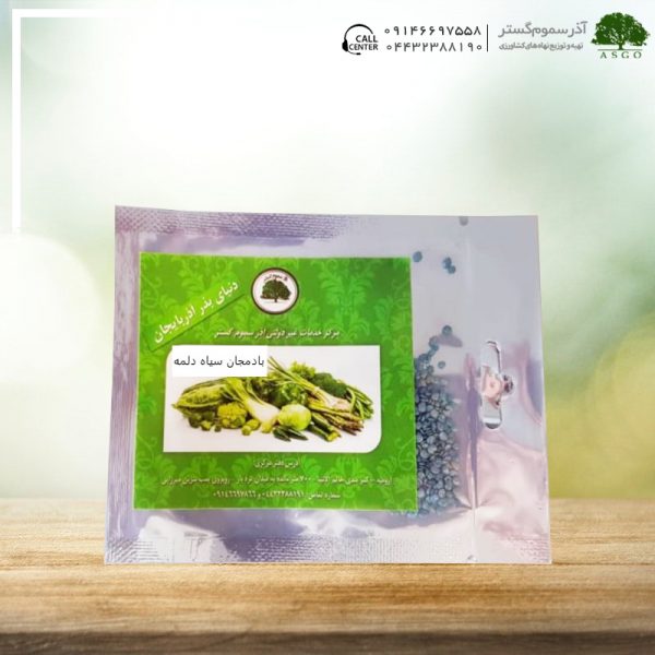 بذر بادمجان سیاه دلمه ای