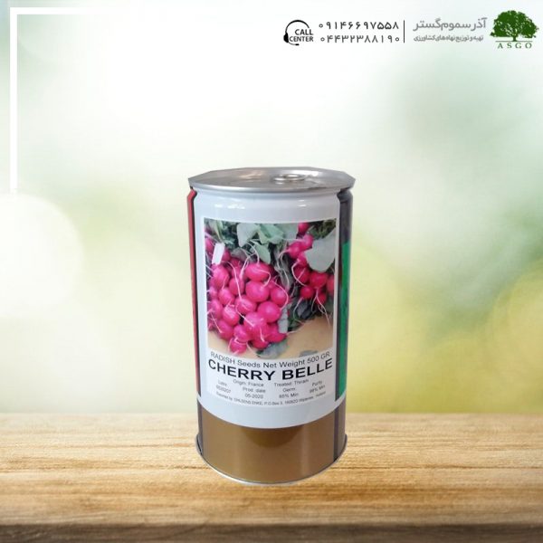 بذر تربچه