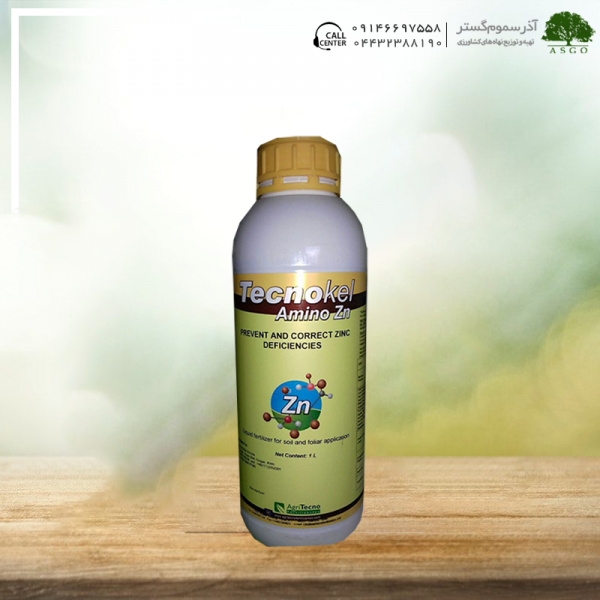 تکنو کل آمینو روی