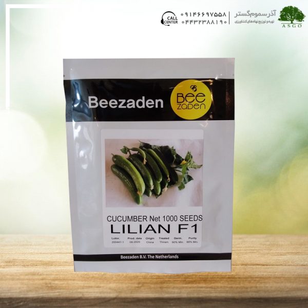 خیار هیبرید لیلیان