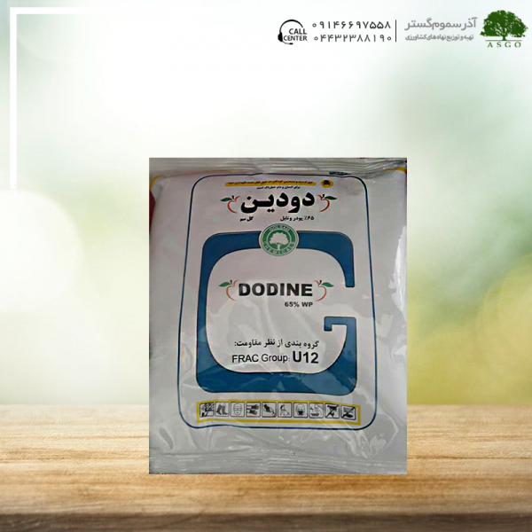 دودين