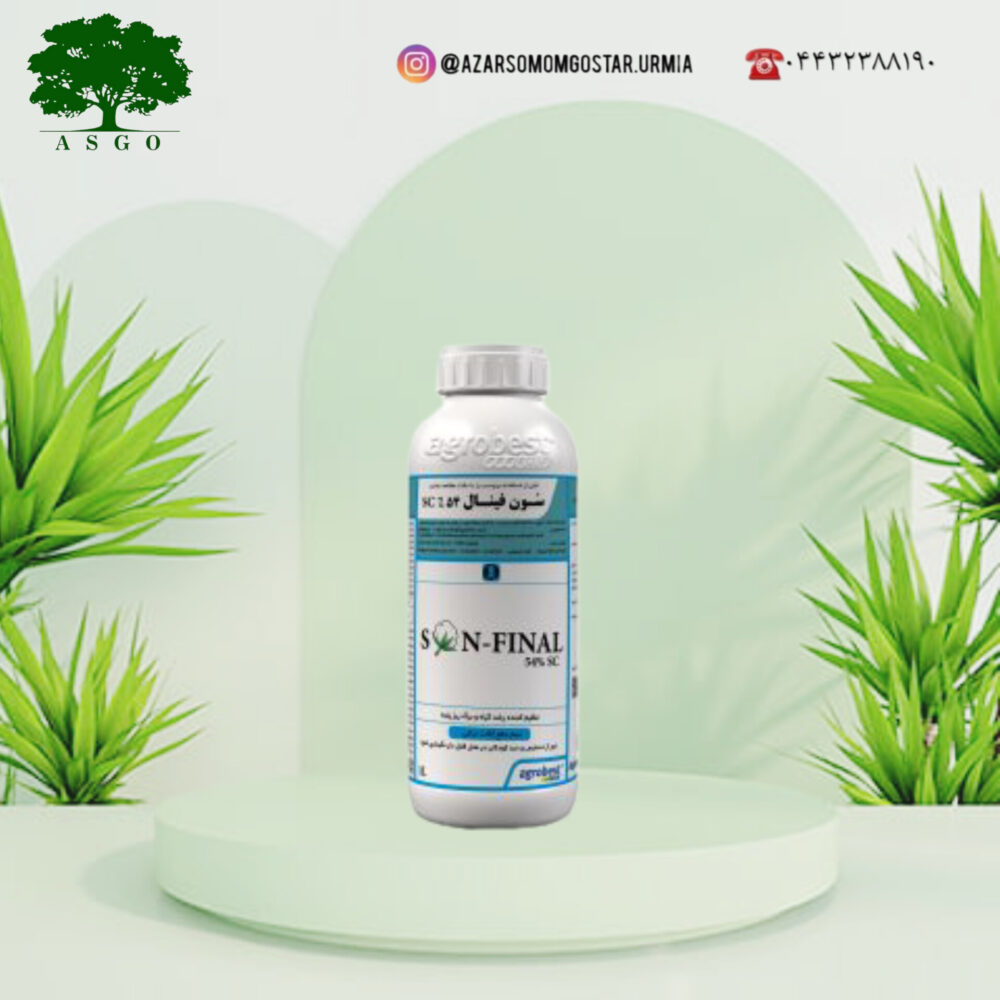 سُون فینال