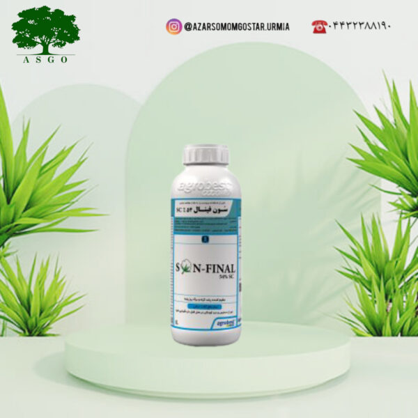سُون فینال