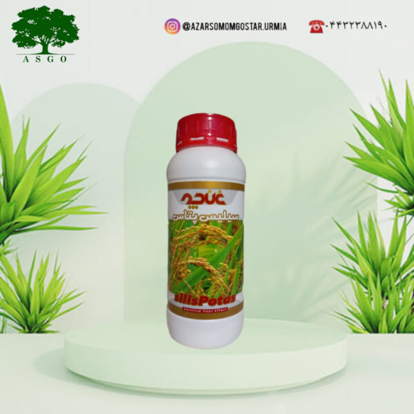 سیلیس پتاس غنچه