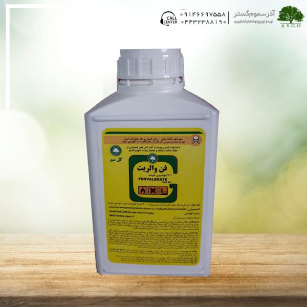 فن والريت