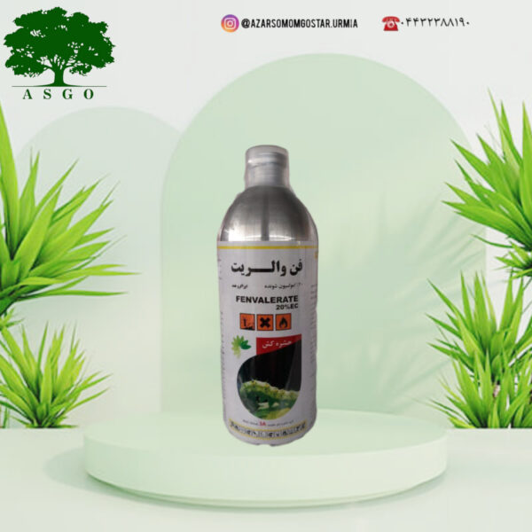 فن والریت