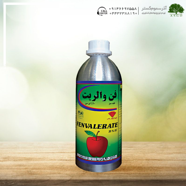 فن والریت