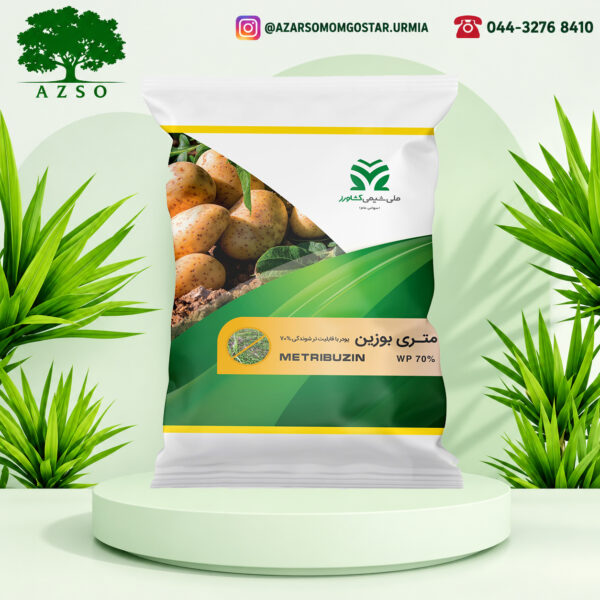 متری بوزین