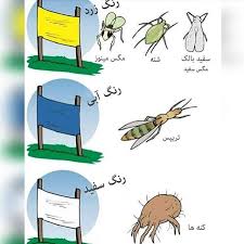 مگس 3