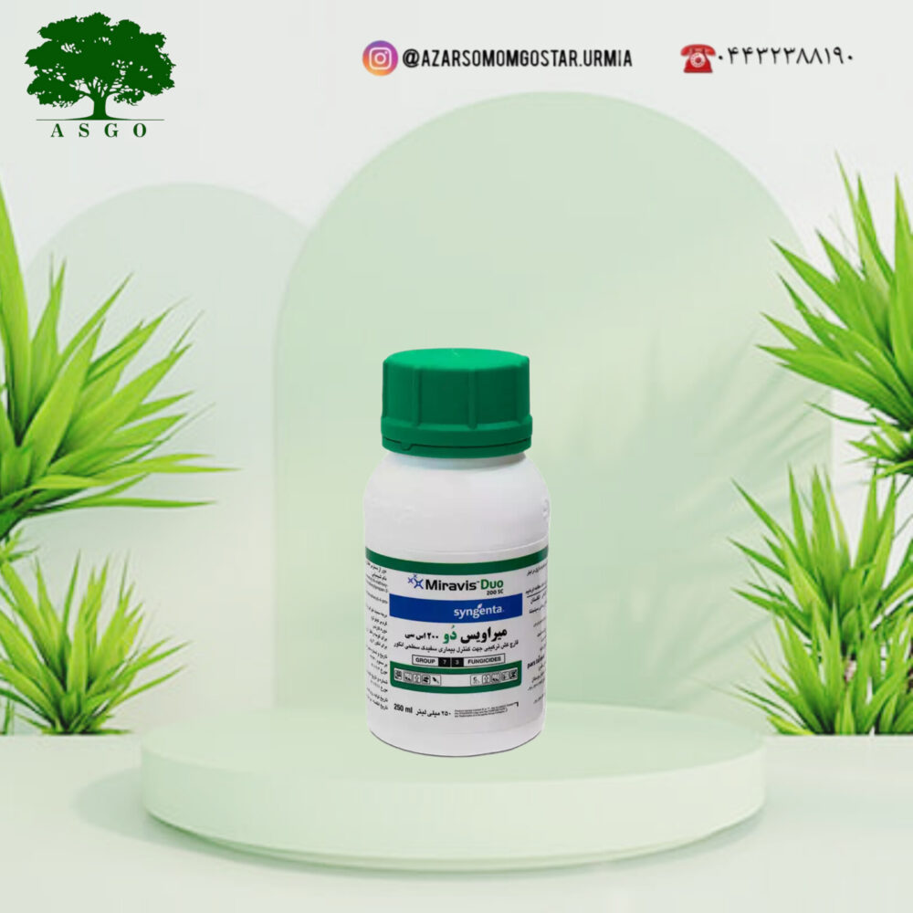 میراویس دوُ (Miravis Duo)