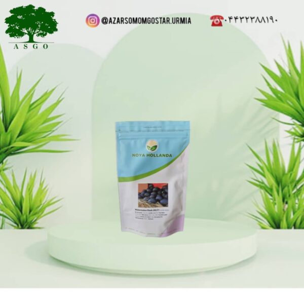 هندوانه بلک جگ