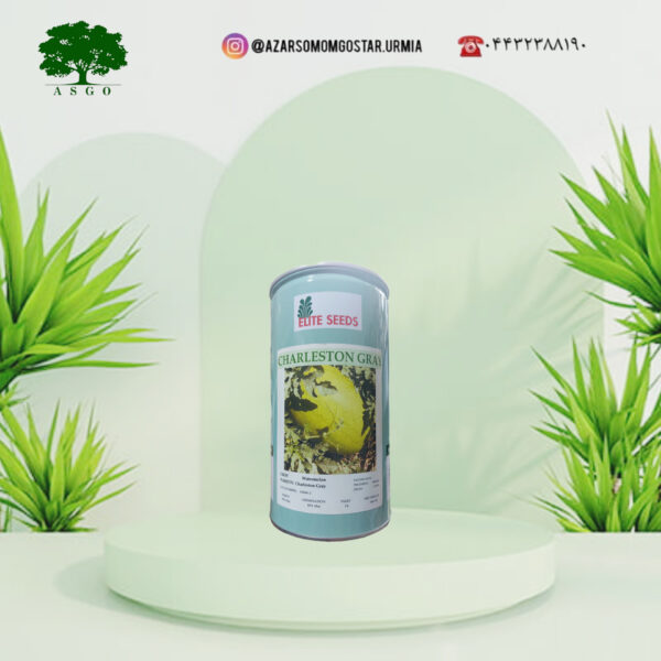 هندوانه چارلستون گری