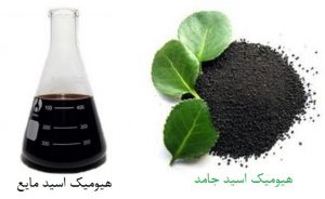 هیومیک-اسید-3