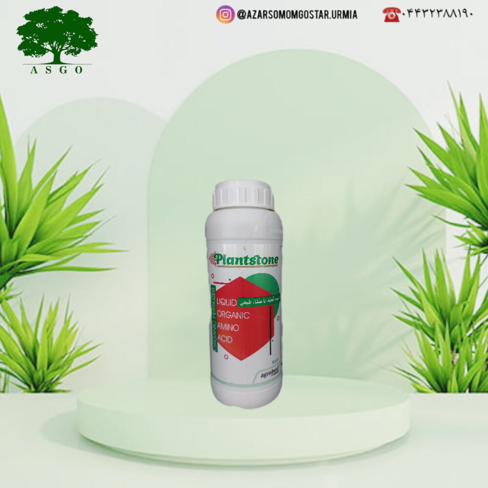 اسیدآمینه پلنت استون