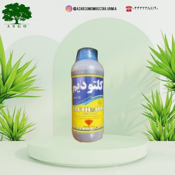 کلتودیم
