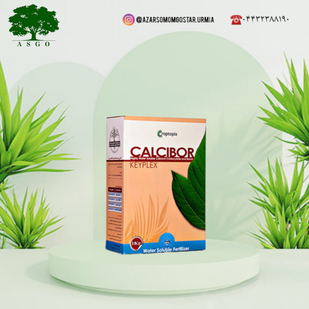 کی پلکس کلسی بُر