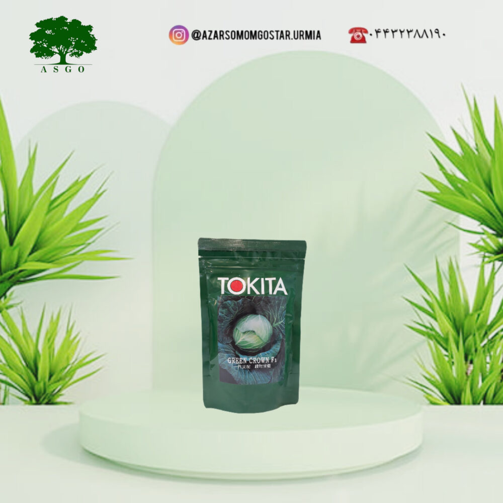 کلم سفید گرین کرون توکیتا