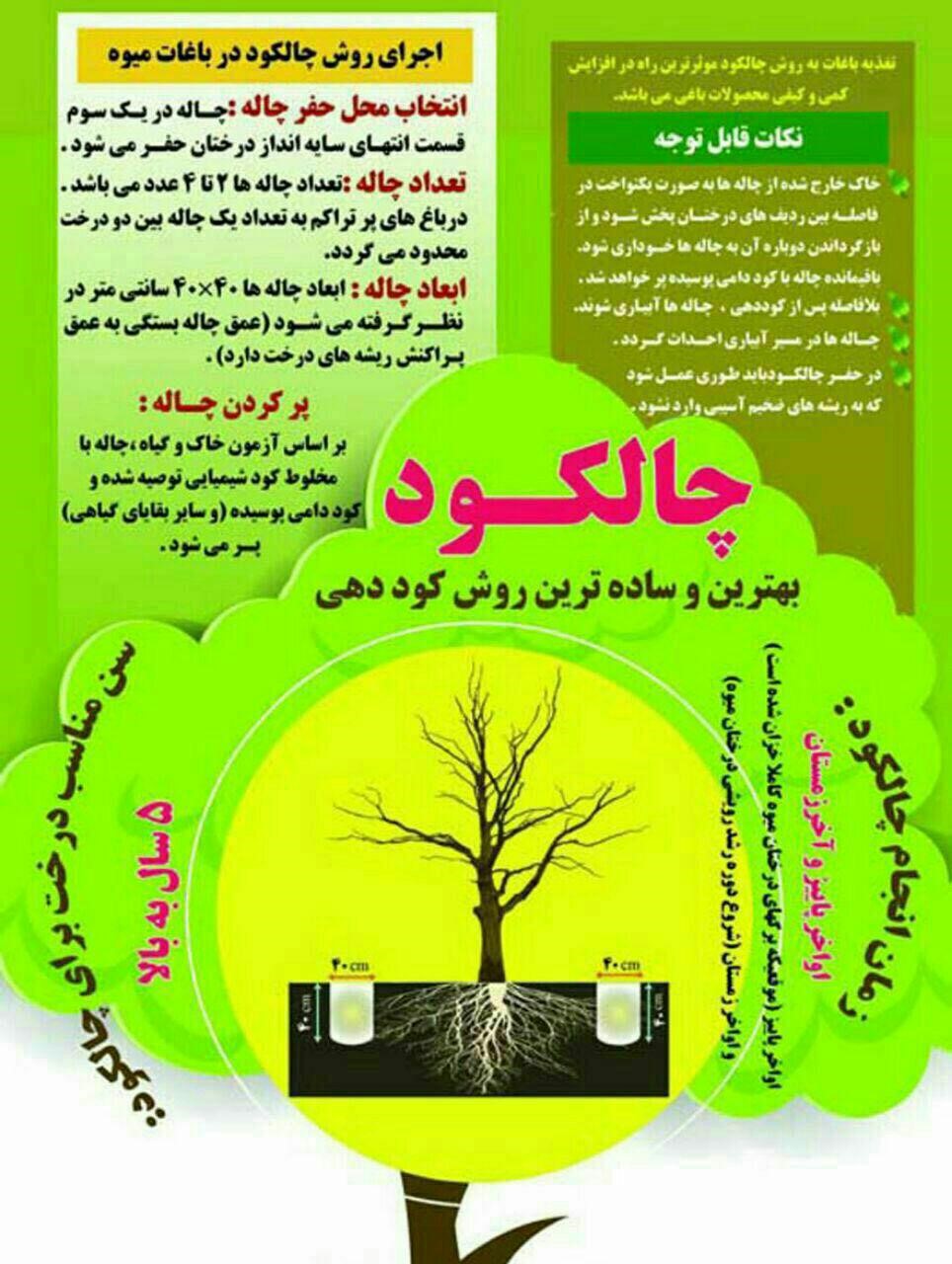 کود دهی زمستانه 0