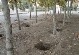کود دهی زمستانه 2