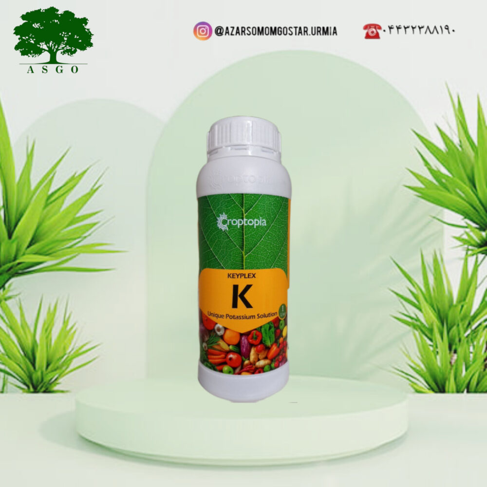 کی پلکس پتاسیم