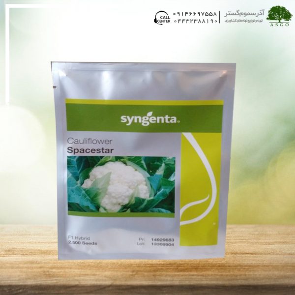 گل کلم هیبریداسپیس استار
