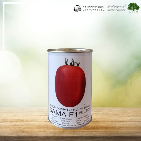 گوجه فرنگی هیبرید سما