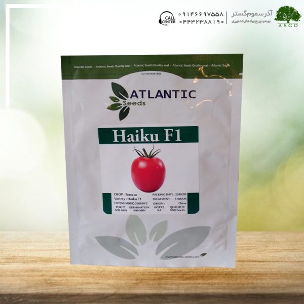گوجه فرنگی هیبرید هایکو