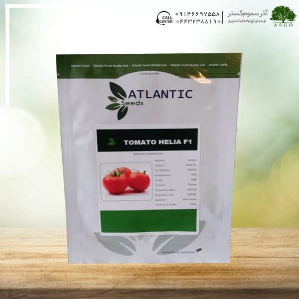 گوجه فرنگی هیبرید هلیا