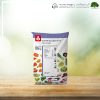 20-20-20 یوروسالیدز - تصویر 4